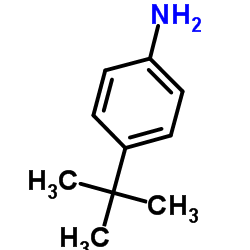 4-叔丁基苯胺