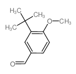 3-(叔丁基)-4-甲氧基苯甲醛