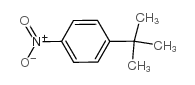 1-叔丁基-4-硝基苯