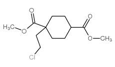 1-(2-CHLOROETHYL)CYCLOHEXANE-1,4-DICARBOXYLIC ACID DIMETHYL ESTER