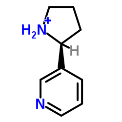 3-(吡咯烷-2-基)吡啶 (5746-86-1)