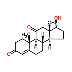 11 -酮睾酮