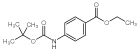 4-(叔丁氧基羰基氨基)苯甲酸乙酯 (110969-44-3)