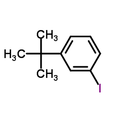 1-碘-3-叔丁基苯