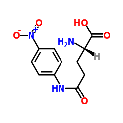 L-gamma-谷氨酰-对-硝基苯胺