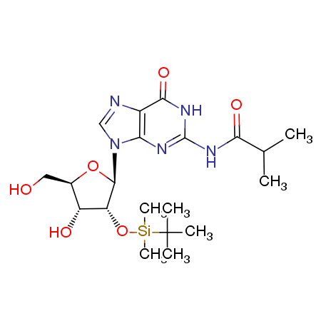 2'-O-(叔丁基二甲基硅烷基)-N-异丁酰基鸟苷