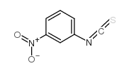 3-硝基异硫氰酸苯酯