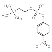 O-(对硝基苯基磷酰)胆碱 (21064-69-7)