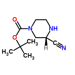 S-4-n-boc-2-氰基哌啶