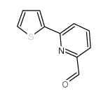 6-(2-噻吩基)-2-吡啶醛 (208111-00-6)