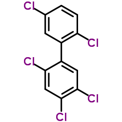 正己烷中2,2,4,5,5-五氯联苯(PCB101)溶液标准物质