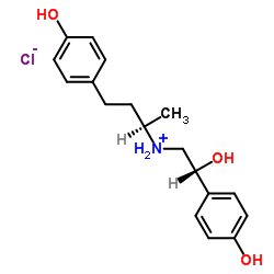 盐酸莱克多巴胺