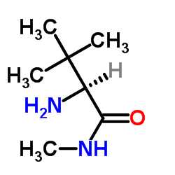 L-叔亮氨酸甲基酰胺