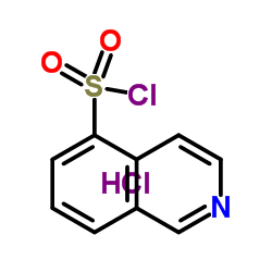 异喹啉-5-磺酰氯盐酸盐