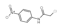 2-氯-N-(4-硝基苯基)乙酰胺