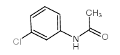 3-氯乙酰苯胺