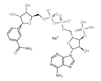 BETA-烟酰胺腺嘌呤双核苷酸