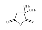 4,4-二甲基-5-亚甲基二氢呋喃-2(3H)-酮