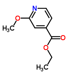2-甲氧基异烟酸乙酯