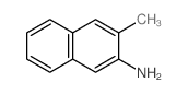 3-甲基-2-萘胺 (10546-24-4)