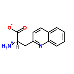 3-(2-喹啉基)-DL-丙氨酸
