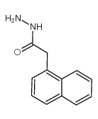 1-萘乙酰肼 (34800-90-3)