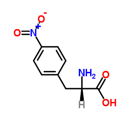 4-硝基-L-苯丙氨酸水合物 98.0%