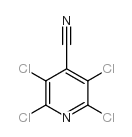 2,3,5,6-四氯异烟腈