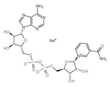 烟酰胺腺嘌呤二核苷酸钠盐