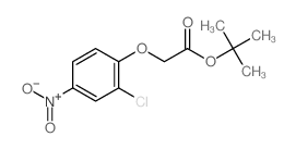 4-硝基-2-氯苯氧基乙酸叔丁酯