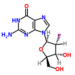 2-氟-2-脱氧鸟苷