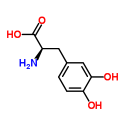 3,4-二羟基-D-苯丙氨酸 97.0%