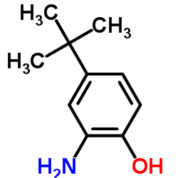 2-氨基-4-叔丁基酚 (1199-46-8)