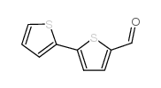 2,2-联噻吩-5-乙醛 (3779-27-9)