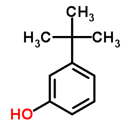 3-叔丁基苯酚