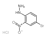 4-溴-2-硝基苯肼盐酸盐