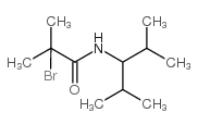 N1-(1-异丙基-2-甲基丙基)-2-溴-2-甲基丙胺