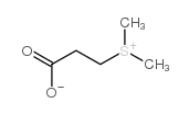 Dimethylsulfonioproprionate (Also See C178060)