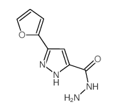 5-(2-呋喃)-1H-吡唑-3-甲酰肼
