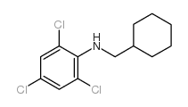 N-环己基甲基-2,4,6-三氯苯胺