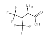 4，4，4，4',4',4'-六氟-DL-缬氨酸