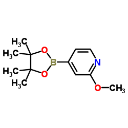 2-甲氧基吡啶-4-戊酰硼酸