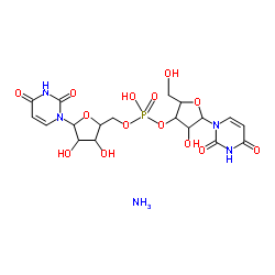 尿酸酶