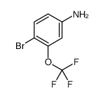 4-溴-3-(三氟甲氧基)苯胺