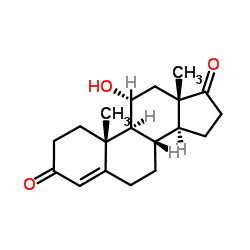 11α-羟基雄烯二酮