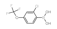 2-氯-4-三氟甲氧基苯硼酸