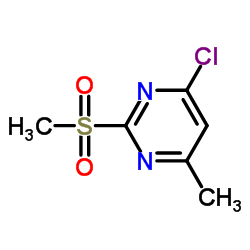 4-氯-6-甲基-2-(甲基磺酰基)嘧啶 (55329-22-1)