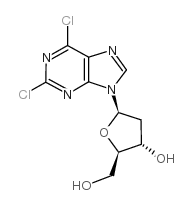 2,6-二氯嘌呤-2'-脱氧核苷