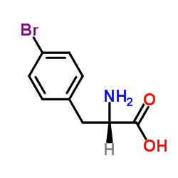 L-4-溴苯丙氨酸 (24250-84-8)