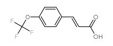 4-(三氟甲氧基)肉桂酸